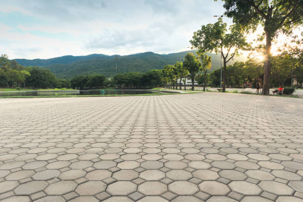 Best Concrete Paver Driveway  in Eclectic, AL